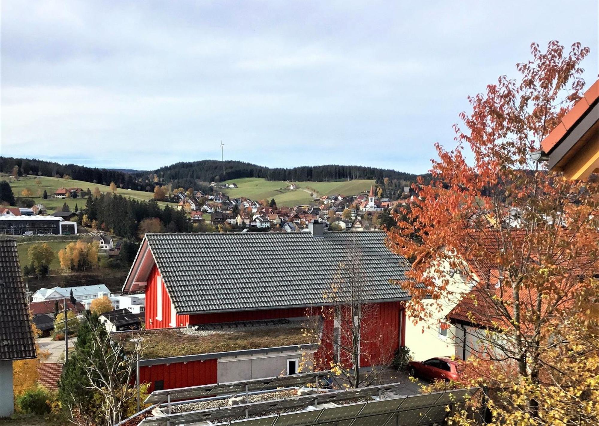 Apartamento Alexander Feiss Schonach im Schwarzwald Exterior foto