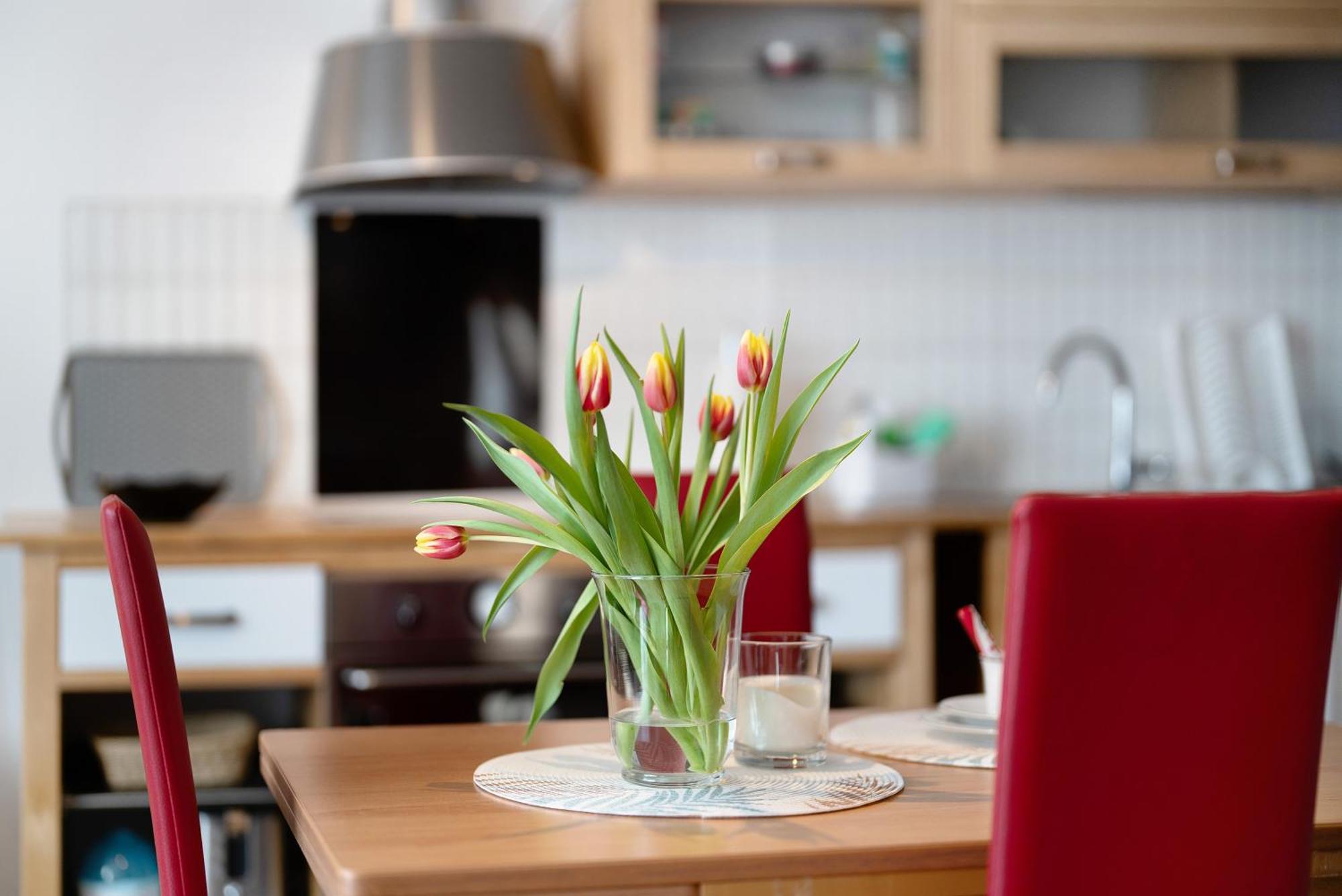 Apartamento Alexander Feiss Schonach im Schwarzwald Exterior foto